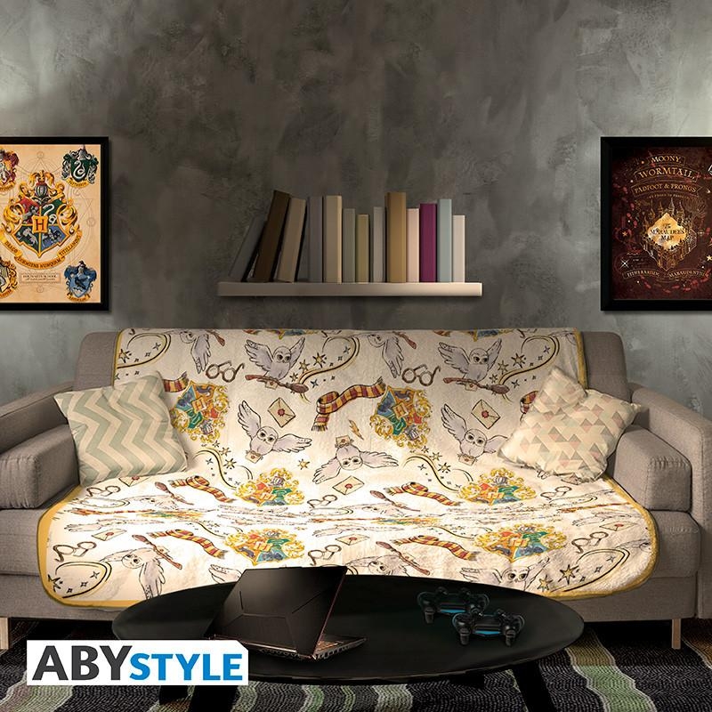 HARRY POTTER blanket - Harry's World