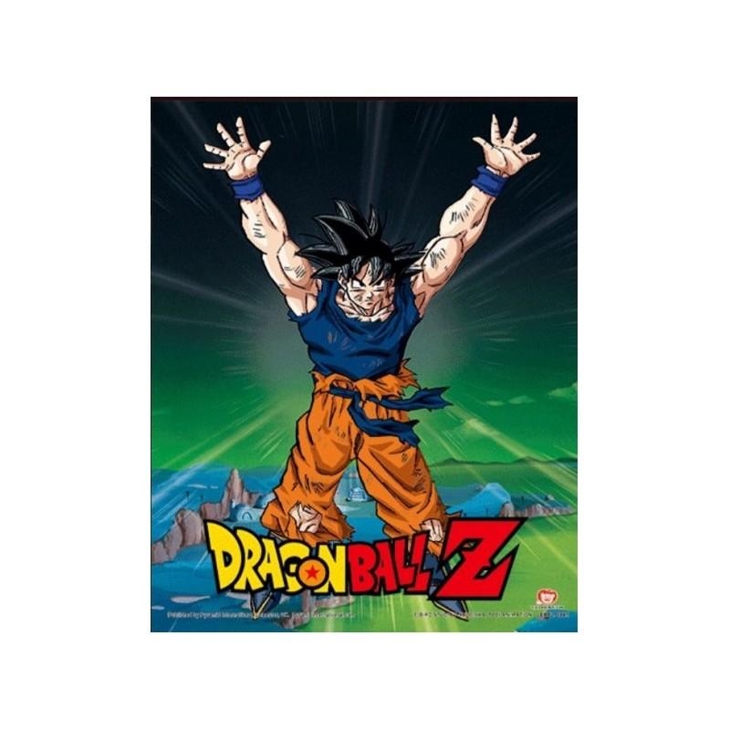 DRAGON BALL Z - Power Level Increased - 3D Lenticular Poster in frame (29 x 24 x 4 cm)