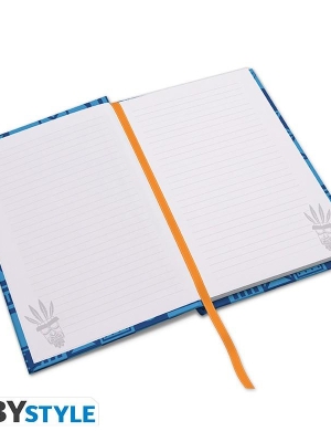 CRASH BANDICOOT A5 Notebook - Crash & Coco