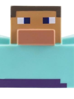Minecraft Steve Bath Duck