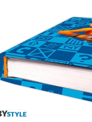 CRASH BANDICOOT A5 Notebook - Crash & Coco