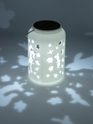 Disney Solar Projection Lantern - Winnie the Pooh (high: 18 cm)
