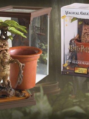 Harry Potter Magical creatures - Mandrake