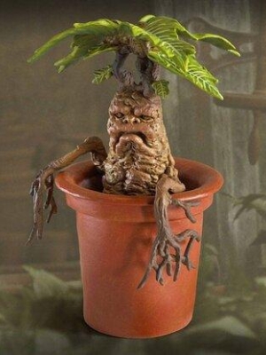 Harry Potter Magical creatures - Mandrake