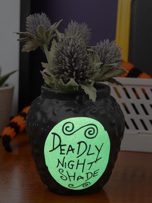 The Nightmare Before Christmas Deadly Nightshade Pen and Plant Pot (glow in the dark)
