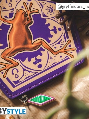 HARRY POTTER - Coin Purse - Chocolate Frog