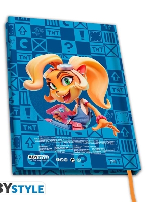 CRASH BANDICOOT A5 Notebook - Crash & Coco