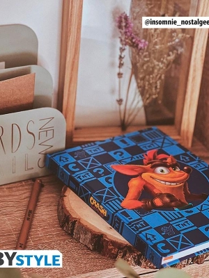 CRASH BANDICOOT A5 Notebook - Crash & Coco
