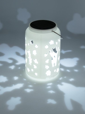 Disney Solar Projection Lantern - Winnie the Pooh (high: 18 cm)