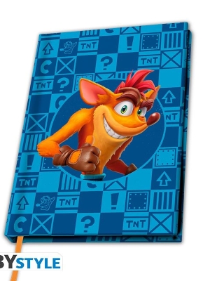 CRASH BANDICOOT A5 Notebook - Crash & Coco