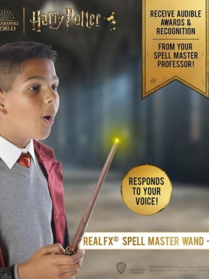 Harry Potter voice activated wand - Harry Potter (41 cm)