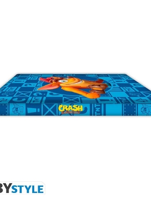 CRASH BANDICOOT A5 Notebook - Crash & Coco