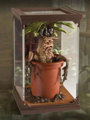 Harry Potter Magical creatures - Mandrake