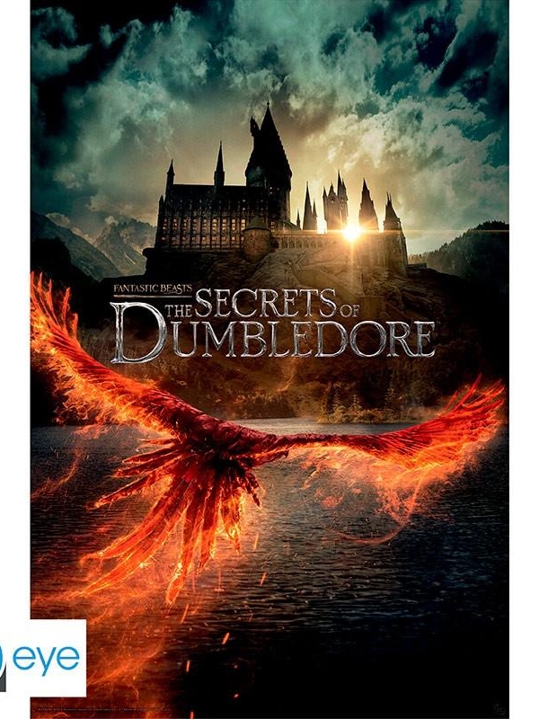 FANTASTIC BEASTS poster maxi (91,5x61 cm) - Movie Poster