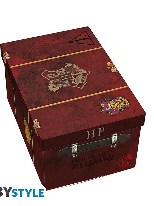 Harry Potter premium gift set: cauldron 3D mug, 3D keychain, pin