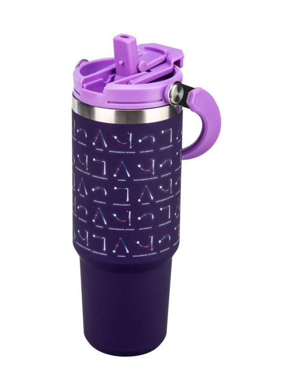 Harry Potter Insulated Cup with Top Handle Hogwarts Spells (900 ml)