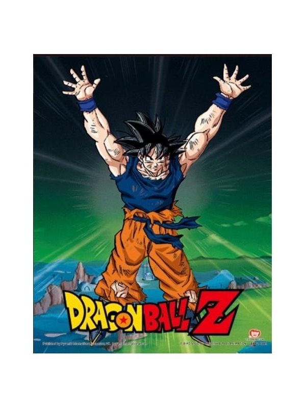 DRAGON BALL Z - Power Level Increased - 3D Lenticular Poster in frame (29 x 24 x 4 cm)