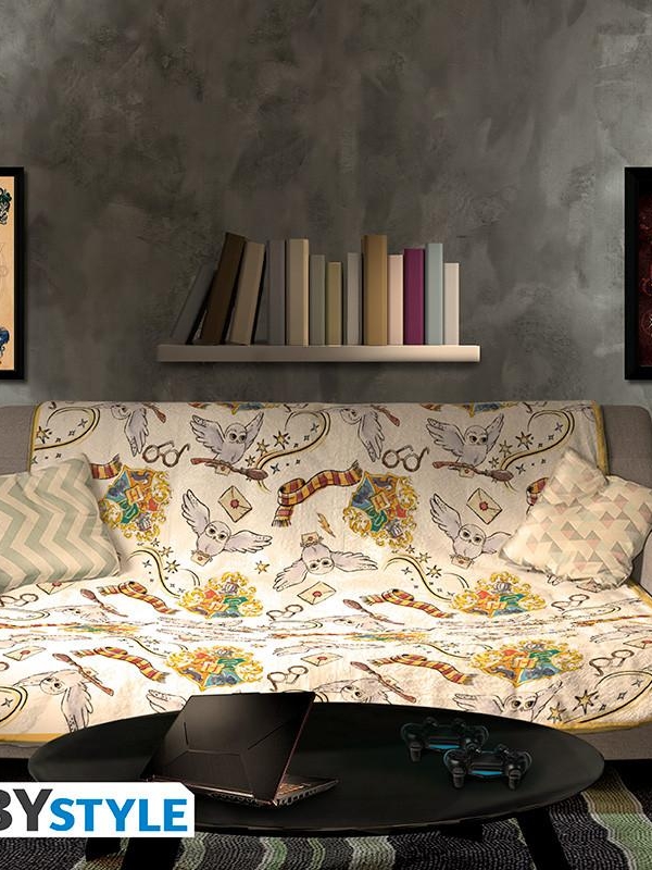 HARRY POTTER blanket - Harry's World