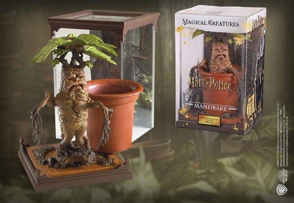 Harry Potter Magical creatures - Mandrake